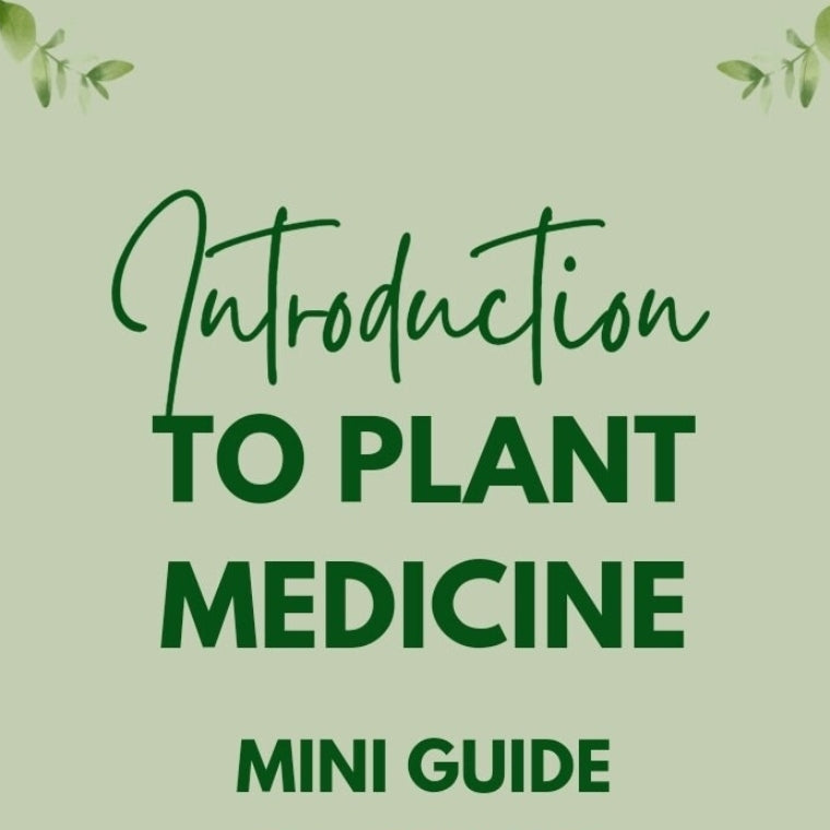 Wild-Crafting- Introduction to Plant Medicine