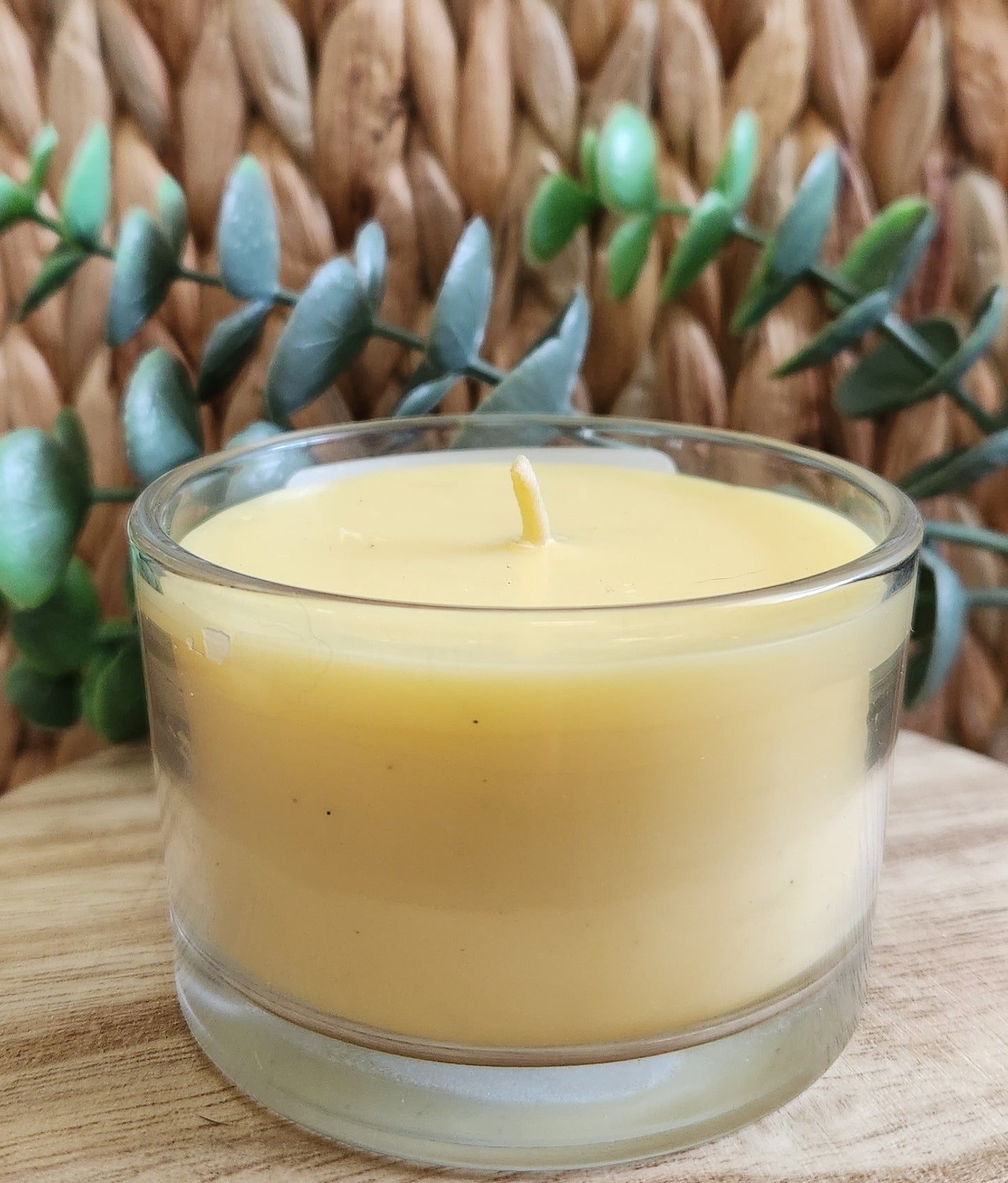 Tallow Candle- Bug Off