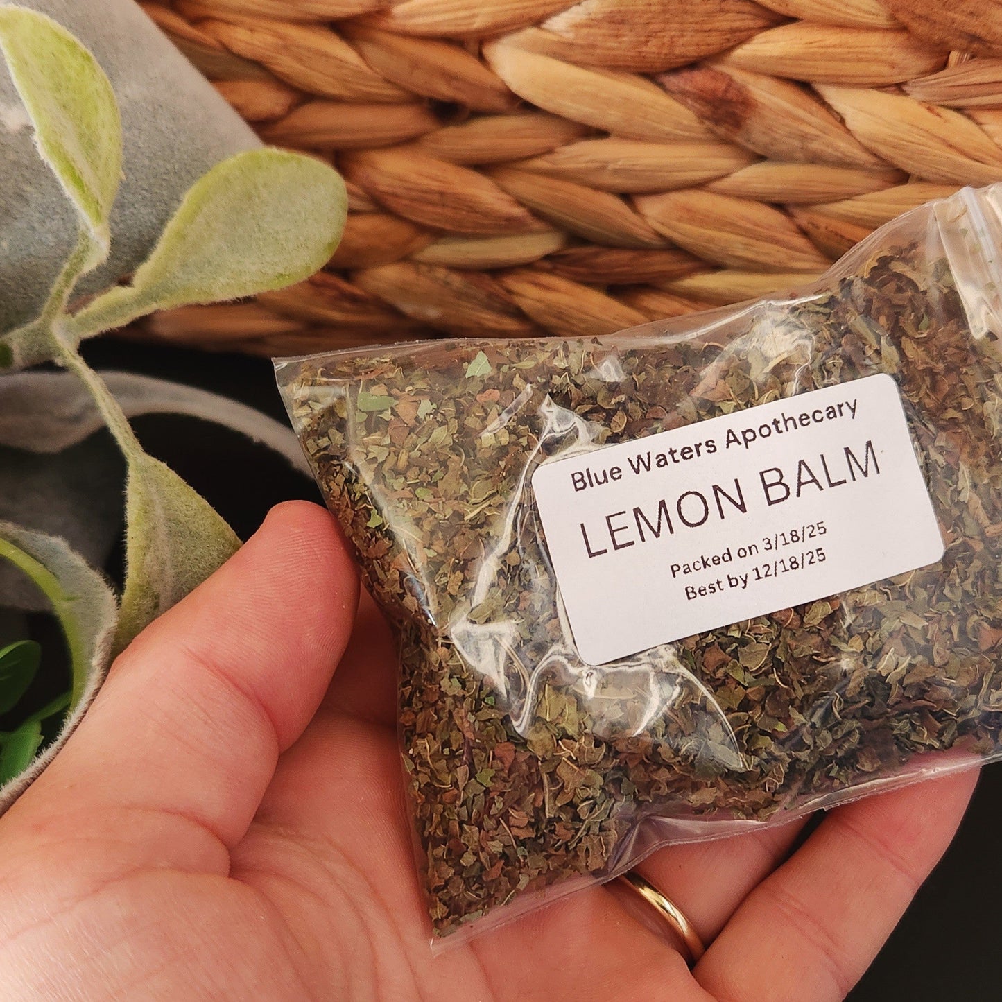 Starter Apothecary Kit