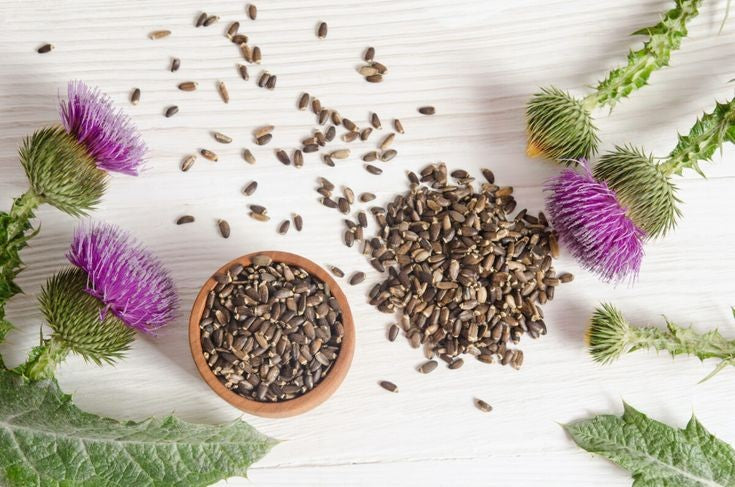 Tincture- Milk Thistle
