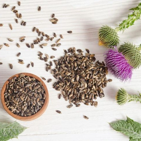 Tincture- Milk Thistle