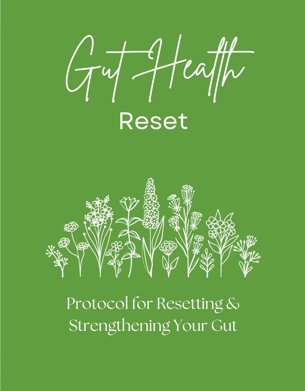 Wellness Learning- Gut Health Reset Ebook