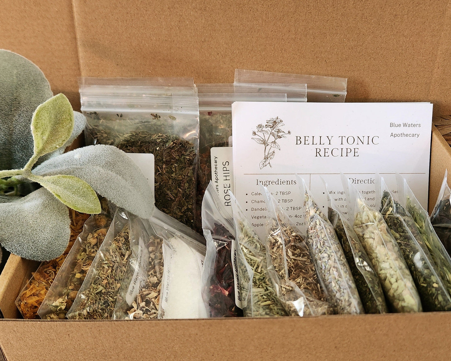 Starter Apothecary Kit