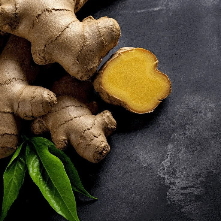 Tincture- Ginger