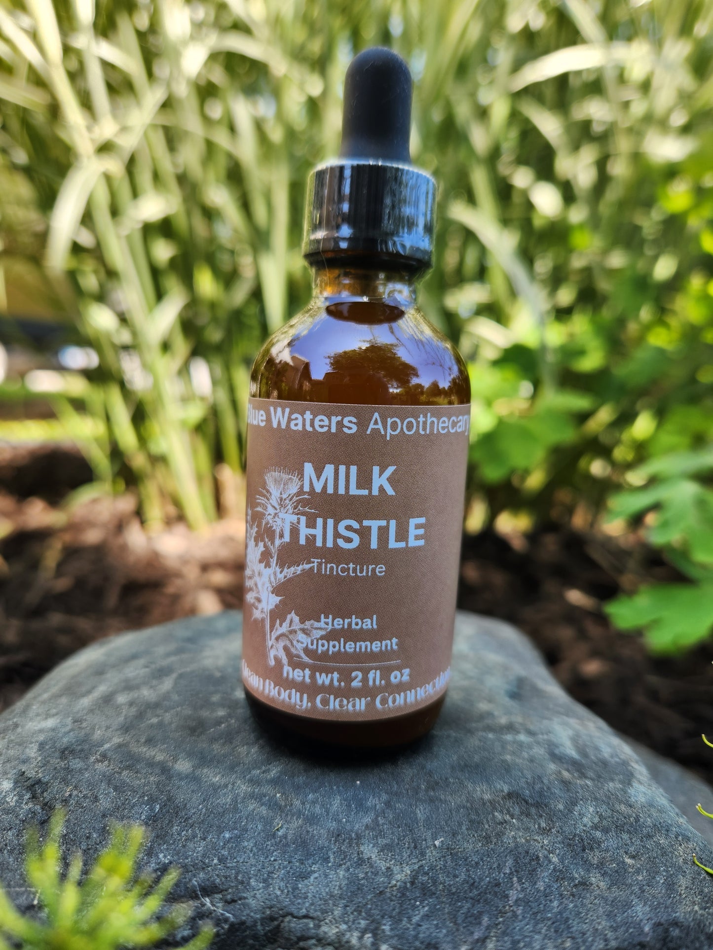 Tincture- Milk Thistle