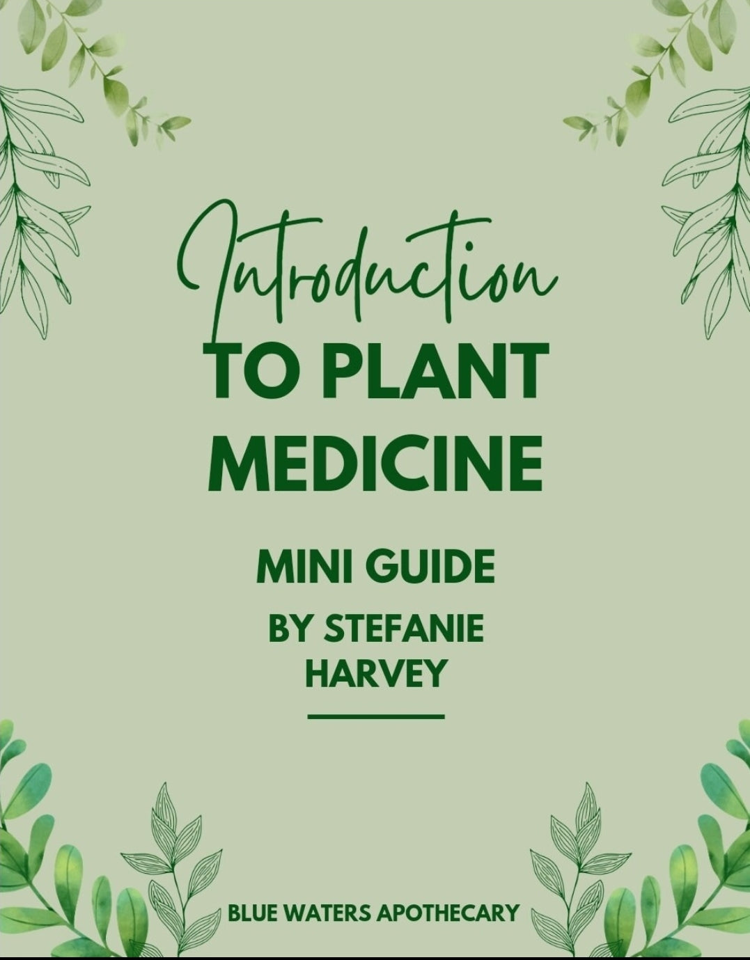 Wild-Crafting- Introduction to Plant Medicine