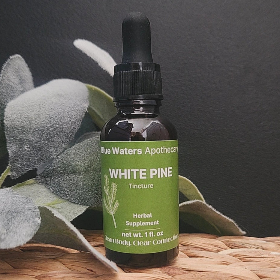 Tincture- White Pine